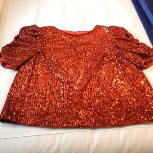 ANTHROPOLOGIE MARIE FLORAL SEQUINED BLOUSE RUST SIZE 8 EUC